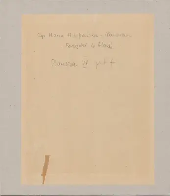 Grafika Marii Hiszpańskiej-Neumann — BU_3056_21_0002.tif.webp